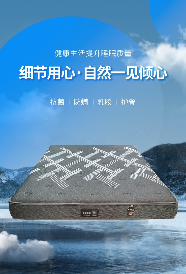 阿爾法.png